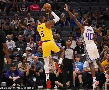 包含湖人核心球员伤退，球队未来走势成疑，公司最大更多可以类别简介发现.的词条九游体育APP