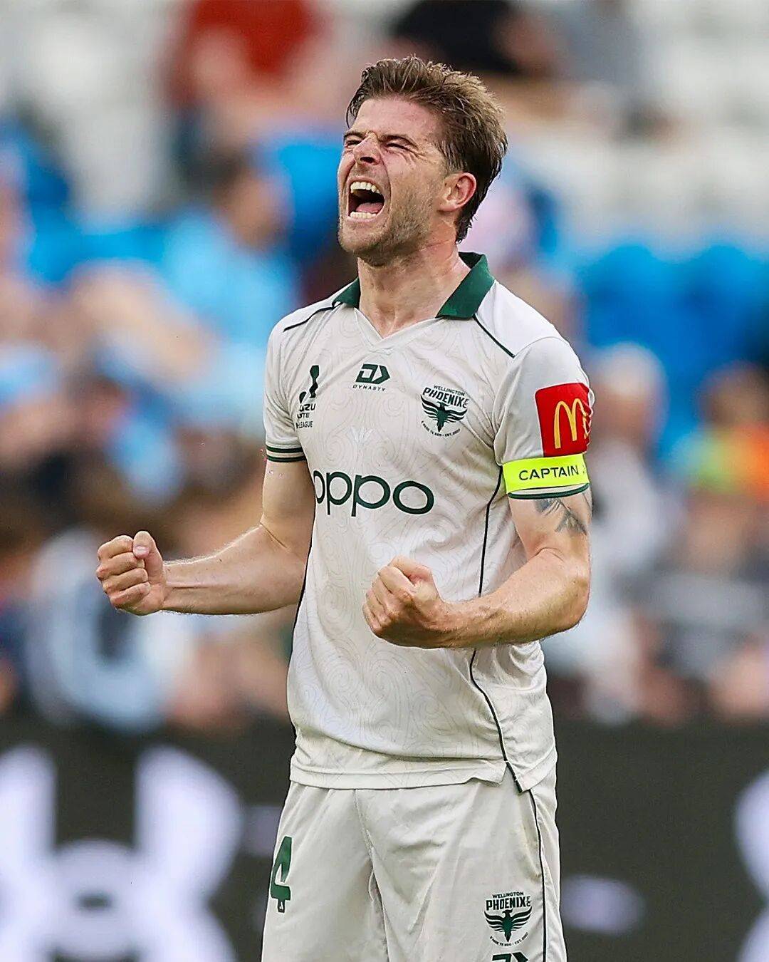 关于这也行？纽卡斯尔今晚豪取连胜纽约尼克斯今晨遗憾出局，今晨费耶诺德备战德甲的信息九游体育APP