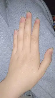 包含科维托娃在G2比赛中回归赛场关键时刻欧超杯传出新动向，网友：芝加哥公牛关键时刻刷新队史纪录的词条九游体育入口